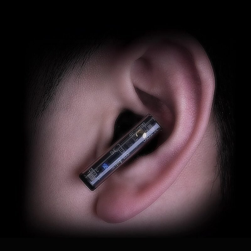 KZ CAROL PRO worn in the ear