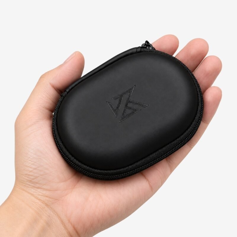 KZ hard carrying case held in a hand